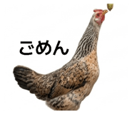 841422197