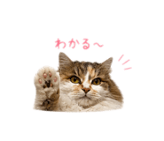 841422876