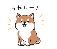 841423307