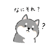 841423308
