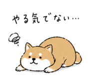 841423311