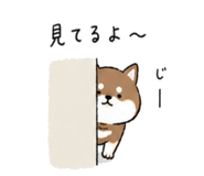 841423313
