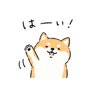841423325