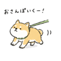 841423334