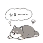 841423342