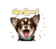 841423737
