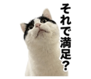 841423868