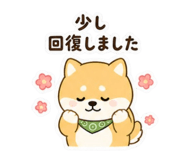 841424219