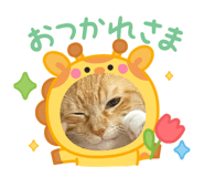 841424318