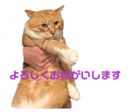 841424319
