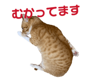 841424326