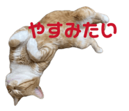 841424327