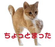 841424328