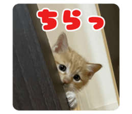 841424330