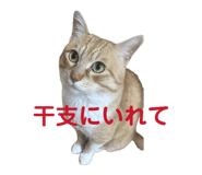 841424341