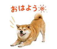 841426513