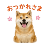 841426519