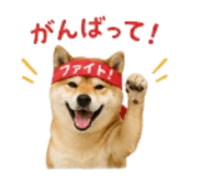 841426520