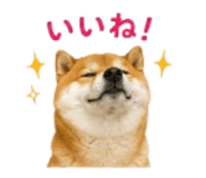841426523