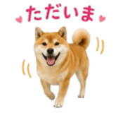 841426526