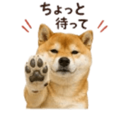 841426527