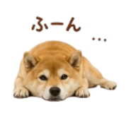 841426528