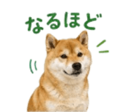 841426530