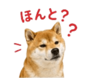 841426532