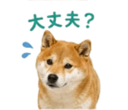 841426535