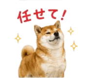 841426536