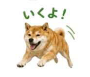 841426537
