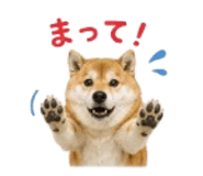 841426538