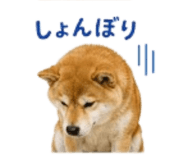 841426540