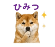 841426542