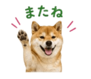 841426544