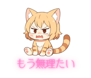 841426697