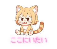 841426698