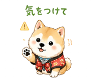 841426716