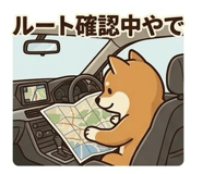 841427381