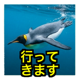 841427887