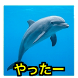841427896