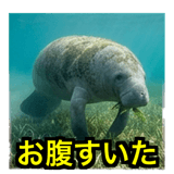 841427901