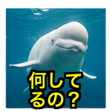 841427902