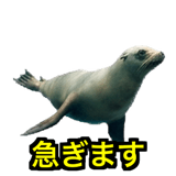 841427903