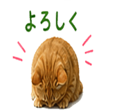 841427965