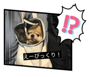 841427975