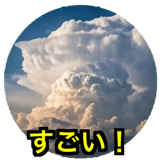 841428043