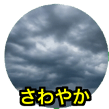 841428052