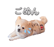 841429026