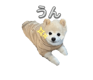841429029
